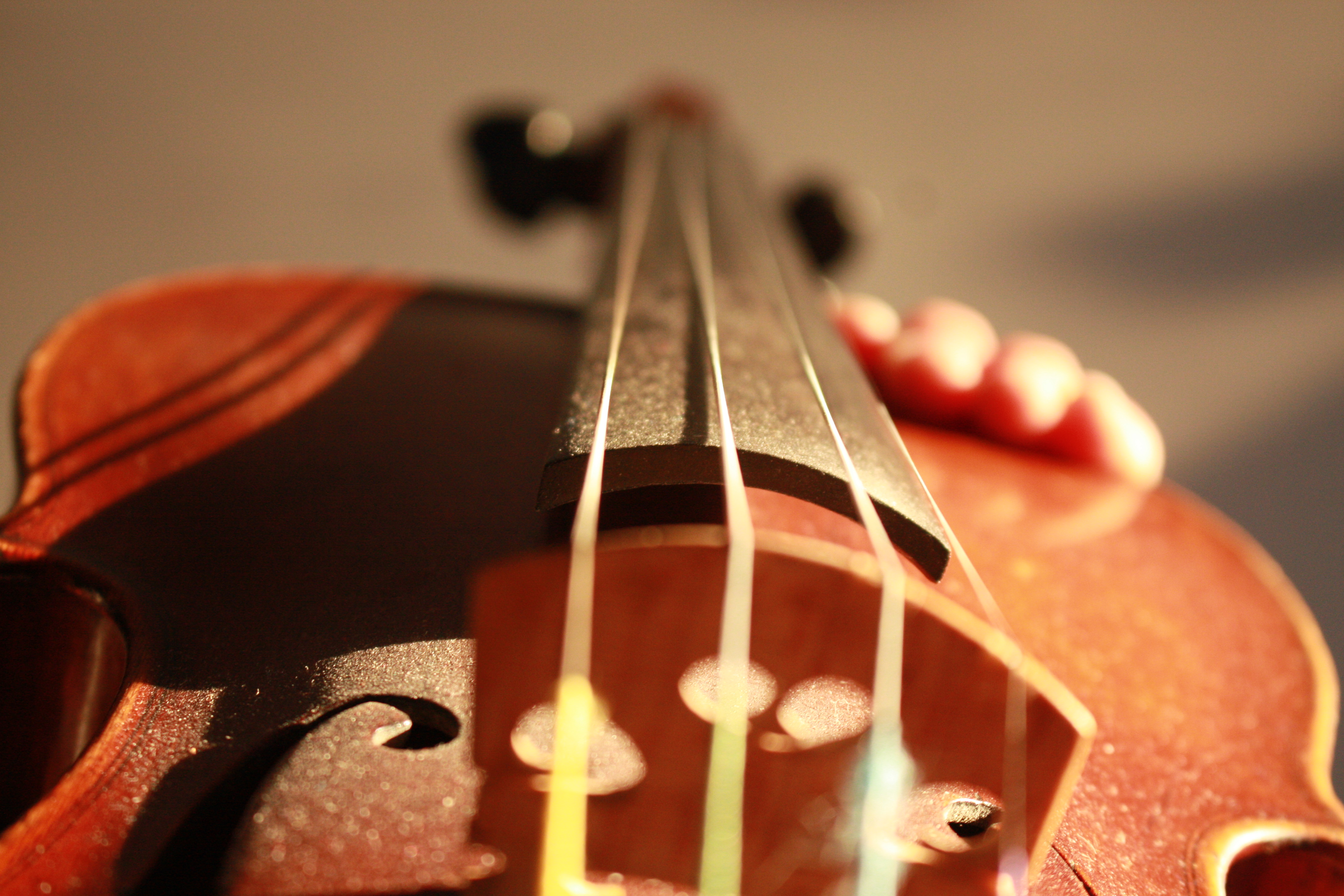 View of violin neck from the strings, fingers holding one edge